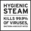new-hygienic_steam_virus_bacteries_en